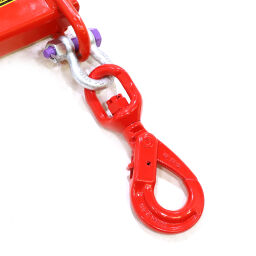 Crane hook with rotating hook